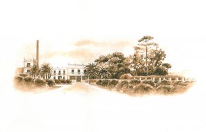 Acuarela Campo Aníbal