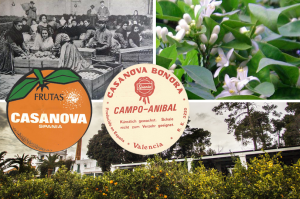 Campo Aníbal, finca en plena produciión